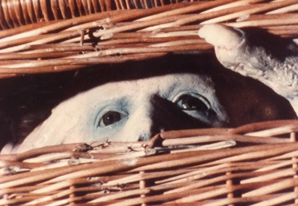 BASKET CASE (1982) – Grindfest 2026